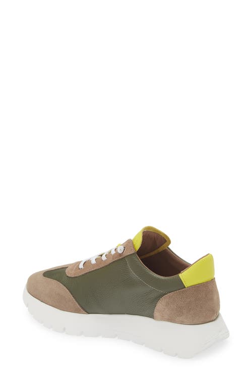 Wonders Fashion Slip-on Sneaker In Taupe/ Algae/ Cyber Combo