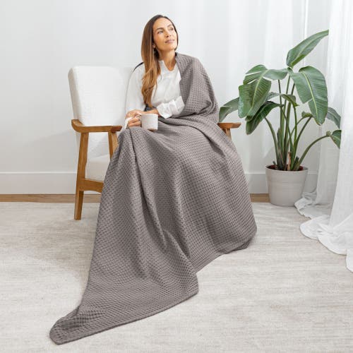 Comfy Cubs Adult Waffle Blanket In Charcoal