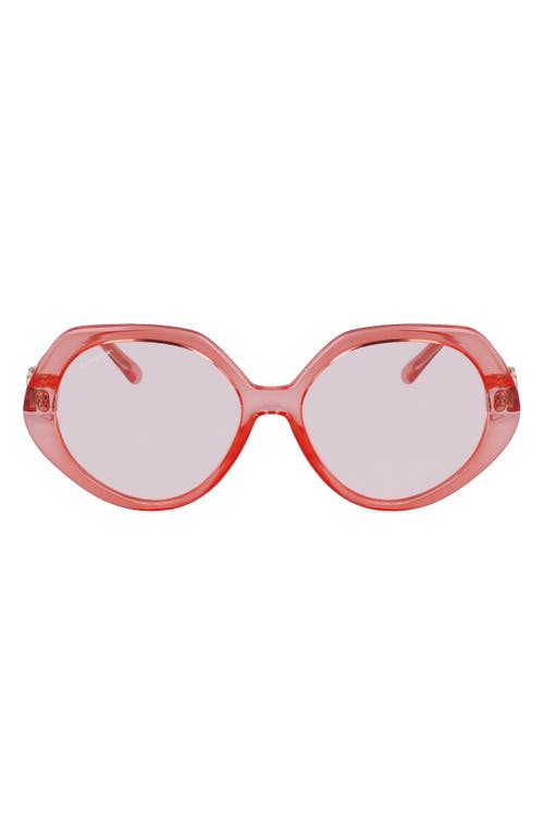 FERRAGAMO 58mm Modified Oval Sunglasses in Transparent Coral at Nordstrom