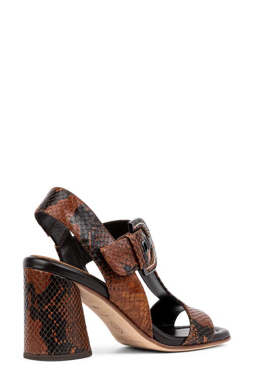 Shop Donald Pliner Erin Slingback T-strap Sandal In Chestnut