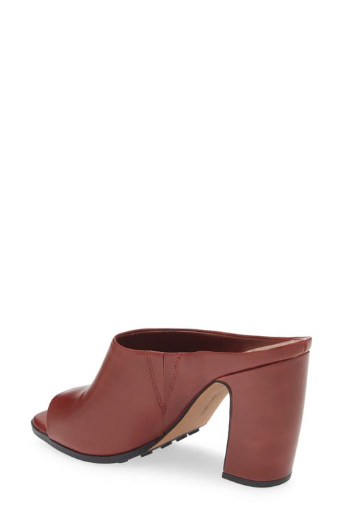 Shop Vince Camuto Brianda Open Toe Mule In Cuero Local Zenith