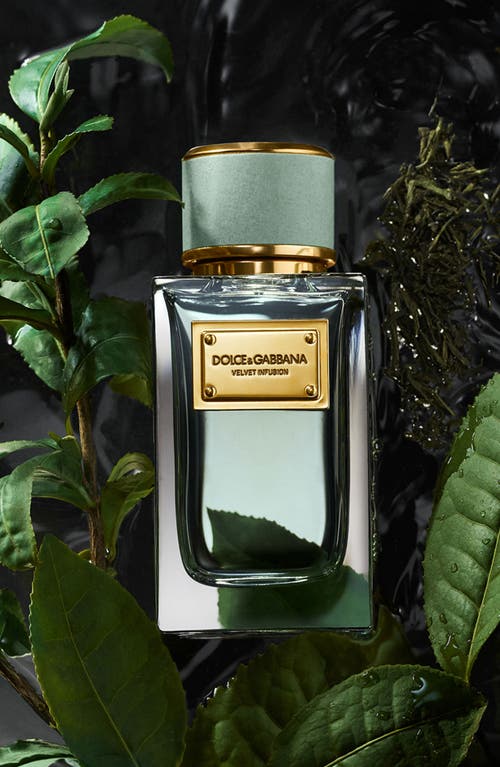 Dolce & Gabbana Dolce&gabbana Velvet Infusion Eau De Parfum In No Color