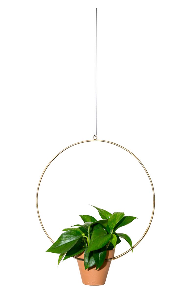 NEWMADE LA Circle Hanging Planter, Main, color, BRASS