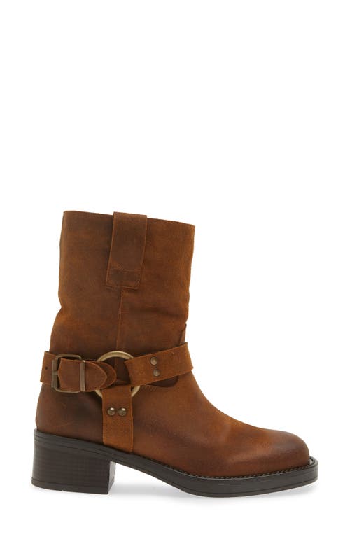 Shop Cordani Perkins Western Boot In Tmoro