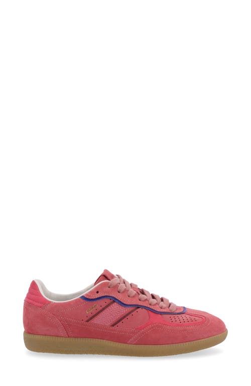 Shop Alohas Rife Sneaker In Pink