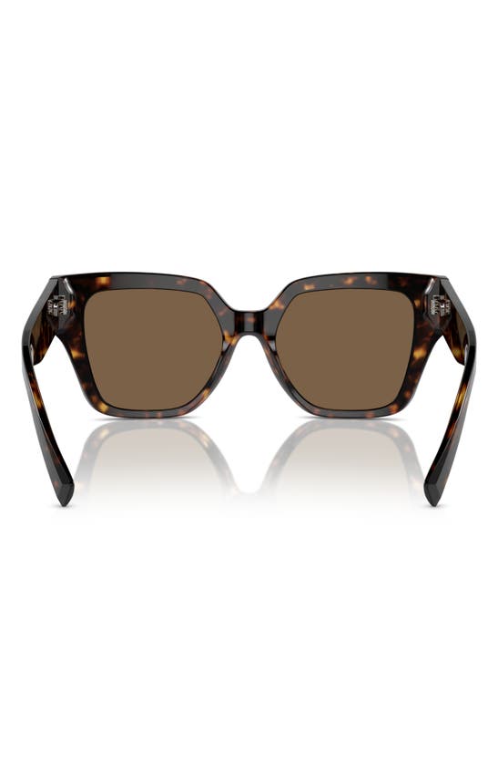 Dolce & Gabbana 52mm Square Sunglasses In Havana