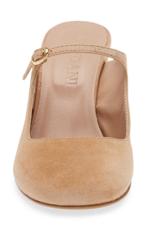 Shop Cordani Shayna Mary Jane Mule In Camel Suede