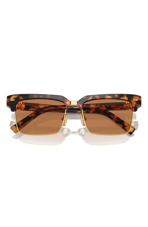 Miu Miu 54mm Square Sunglasses in Havana at Nordstrom