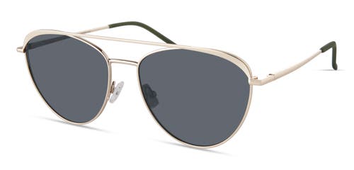 Eco Savannah Sunglasses In Gold