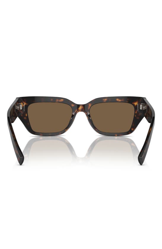 Shop Dolce & Gabbana Dolce&gabbana 52mm Cat Eye Sunglasses In Havana