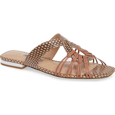 Charles David Silvy Sandal, Brown