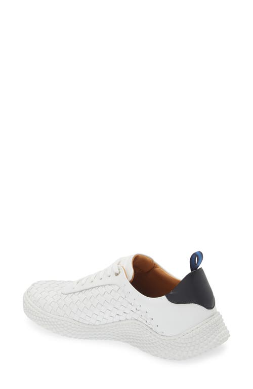 Shop Mezlan Castalla Sneaker In White/black