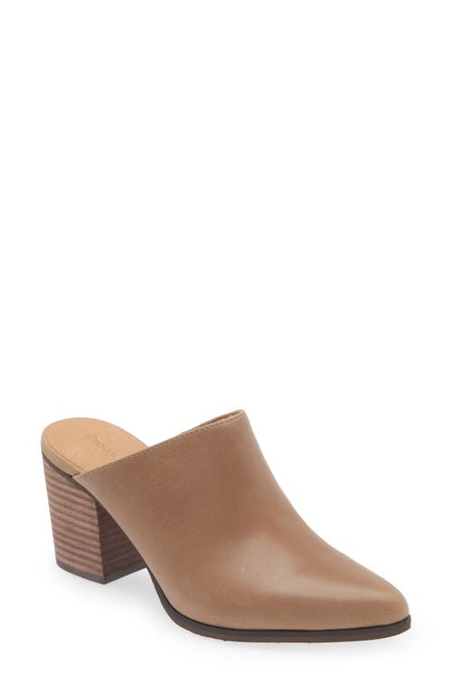 Emery Pointed Toe Mule in Taupe Leather