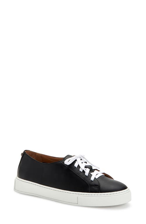 Aquatalia Ollie Nappa Leather Lace-Up Sneaker in Black