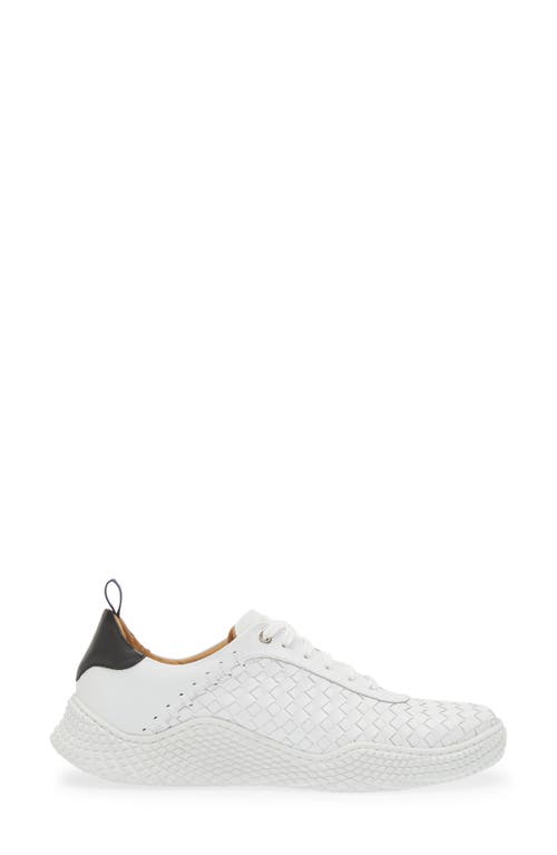 Shop Mezlan Castalla Sneaker In White/black