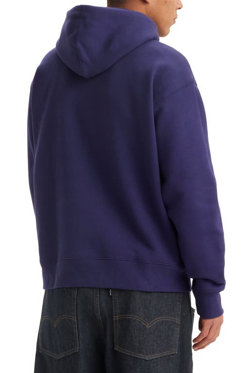 Shop Levi's Skate Chenille Patch Hoodie In Chenille Patch Astra