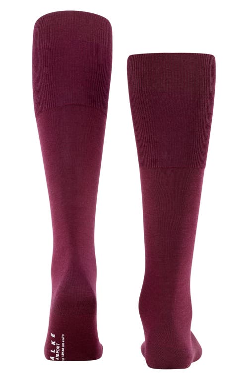 Shop Falke Airport Knee High Socks In Barolo