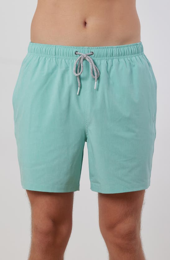 Rainforest Not Your Average Solid Swim Trunks In Aruba Blue