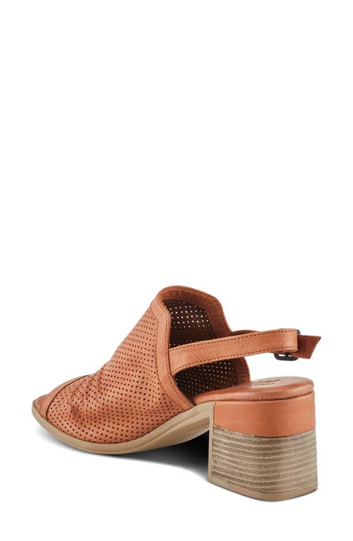 Shop Spring Step Noctium Slingback Sandal In Camel