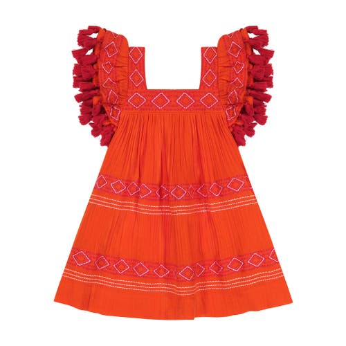 Mer St. Barth Serena Tassel Dress In Poppy Embroidery