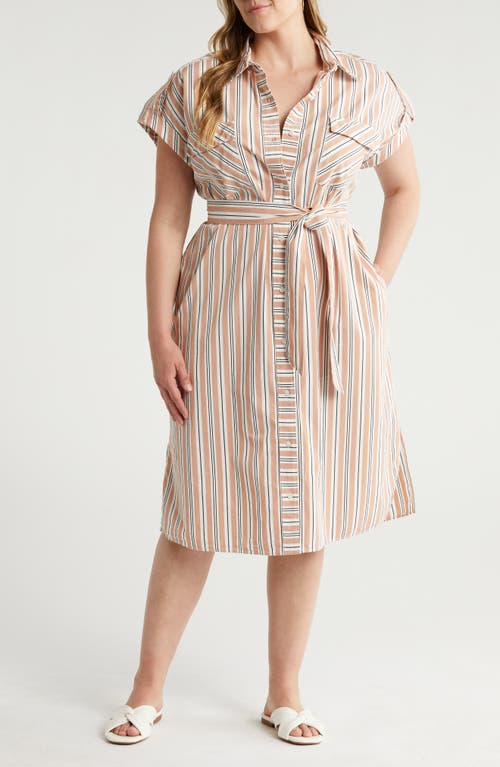 Nordstrom Stripe Belted Cotton Utility Shirtdress Beige Tuscany Leon at Nordstrom,