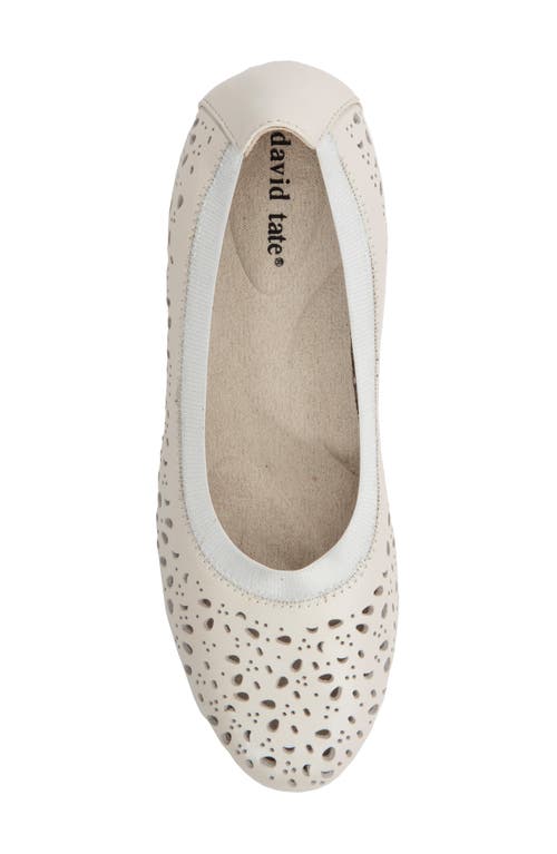David Tate Laser Cut Ballet Flat In White Calf