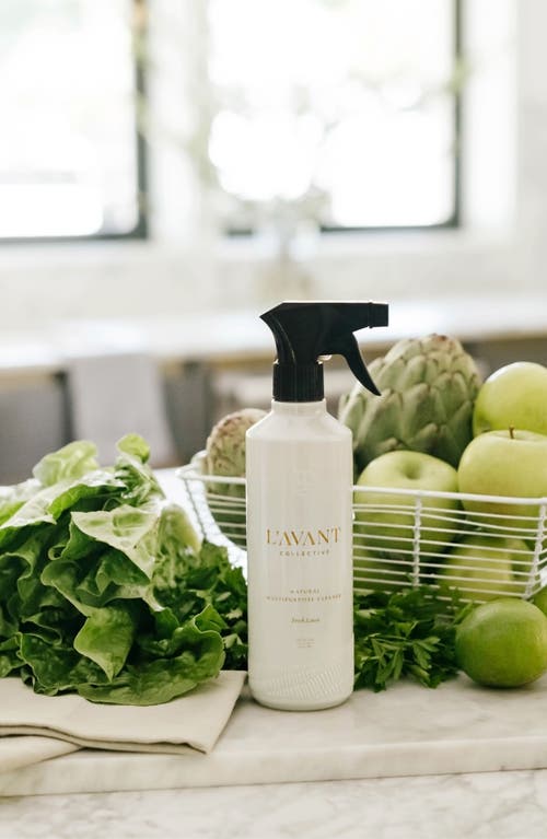 L'avant Collective Multipurpose Cleaner, Fresh Linen 16 Oz. In Grey