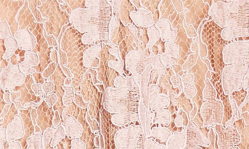 Shop Michael Kors Collection Dance Crushed Floral Lace Skirt In Blush