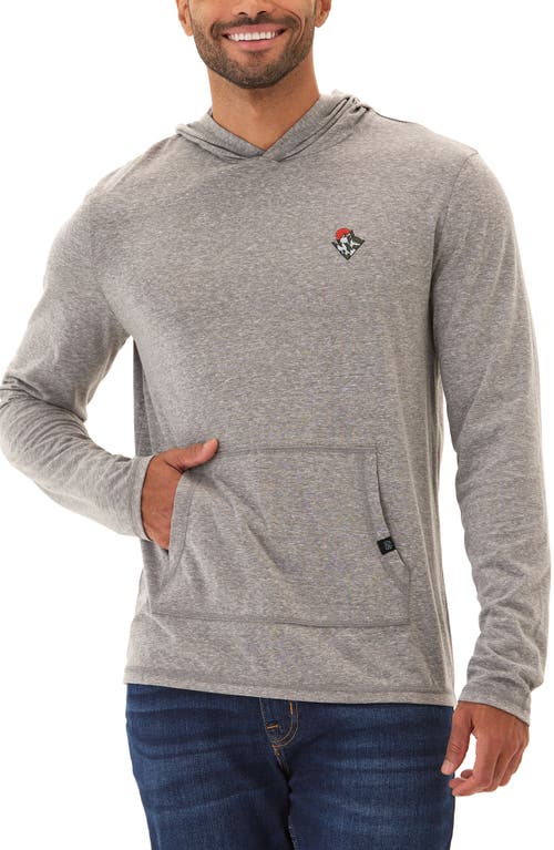 Shop Threads 4 Thought Sunset View Embroidered Hoodie In Heather Grey