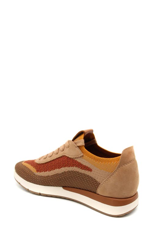 Shop Gentle Souls By Kenneth Cole Juno Knit Sneaker In Brown Multi Knit