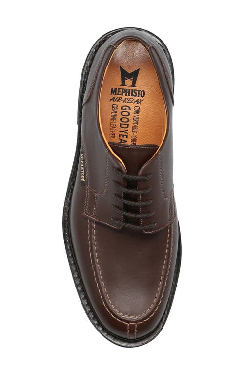 Mephisto Phoebus Derby In Dark Brown Smooth