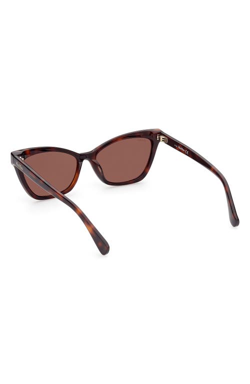 Shop Max Mara 58mm Cat Eye Sunglasses In Dark Havana/brown