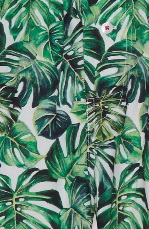 Druthers Nyc Organic Cotton Monstera Boxer Short In Green