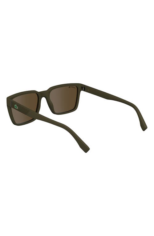 Shop Lacoste 56mm Rectangular Sunglasses In Brown/khaki