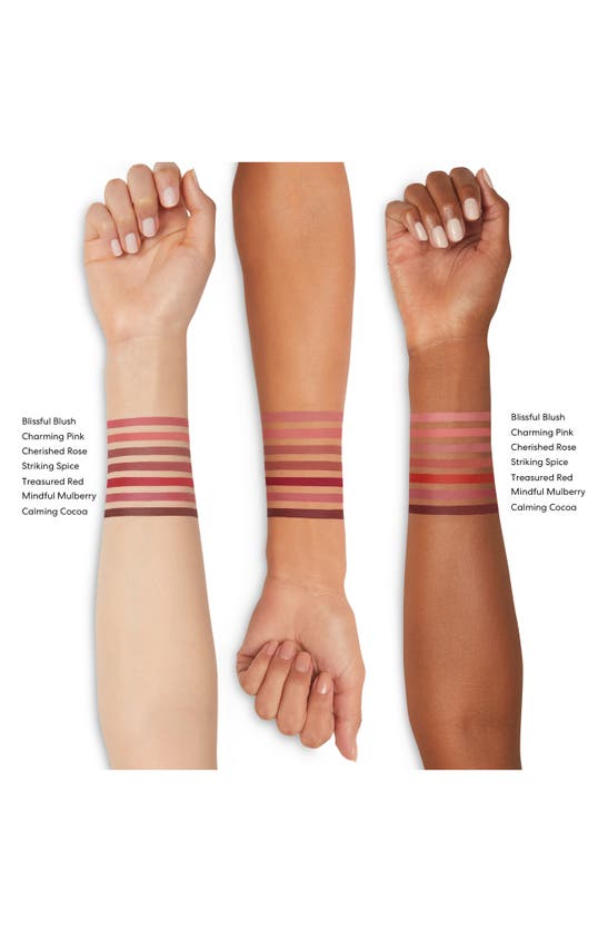 Bareminerals Mineralist Lasting Lip Liner In Pink