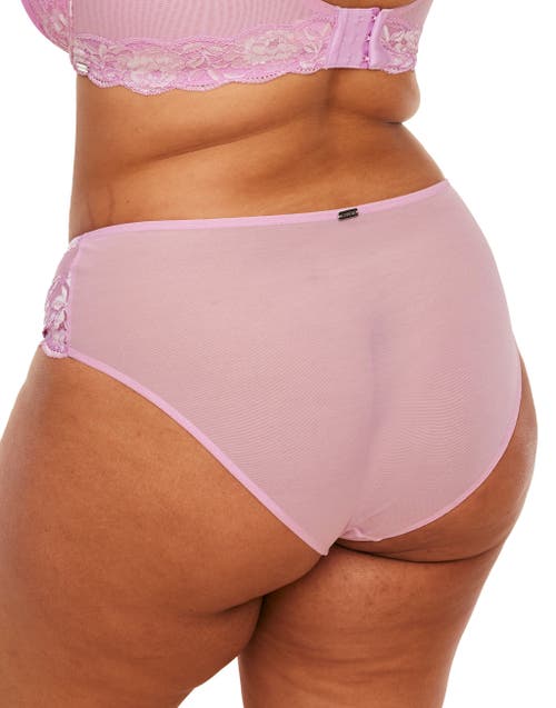 Adore Me Chelsi Hipster Panties In Medium Purple