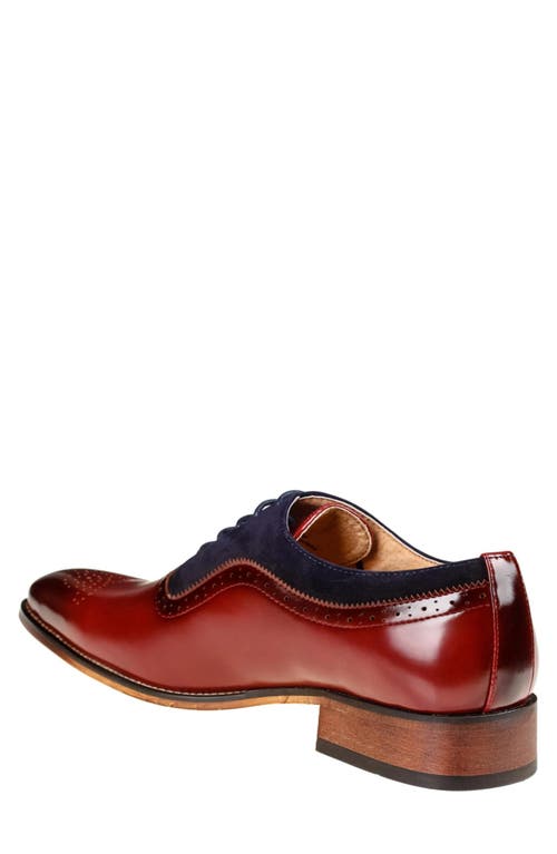 Gino Vitale Wingtip Oxford In Burgundy/navy