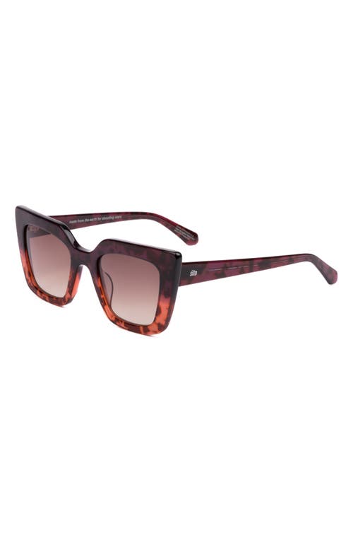 Shop Sito Shades Cult Vision 51mm Standard Square Gradient Sunglasses In Rosewood Tort/rosewood Grad