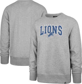 Detroit Lions Men's Fanatics We Are One Hooded Sweatshirt