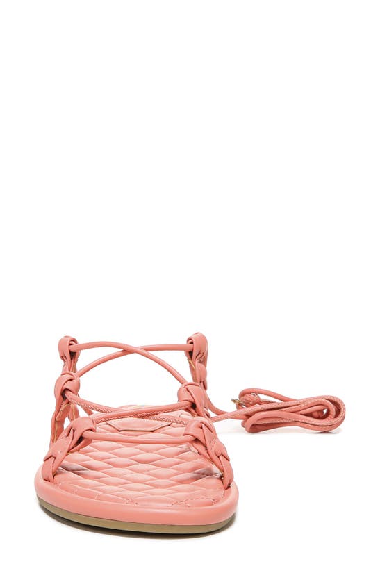 Sam Edelman Zariah Sandal In Canyon Clay