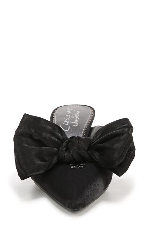Circus Ny By Sam Edelman Fiona Pointed Toe Mule In Black