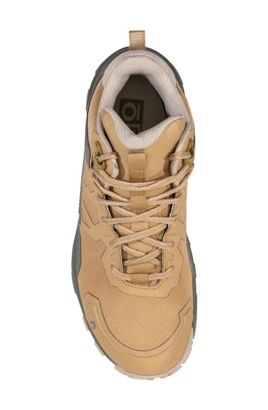 Oboz Katabatic Mid B-dry Waterproof Hiking Sneaker In Acorn
