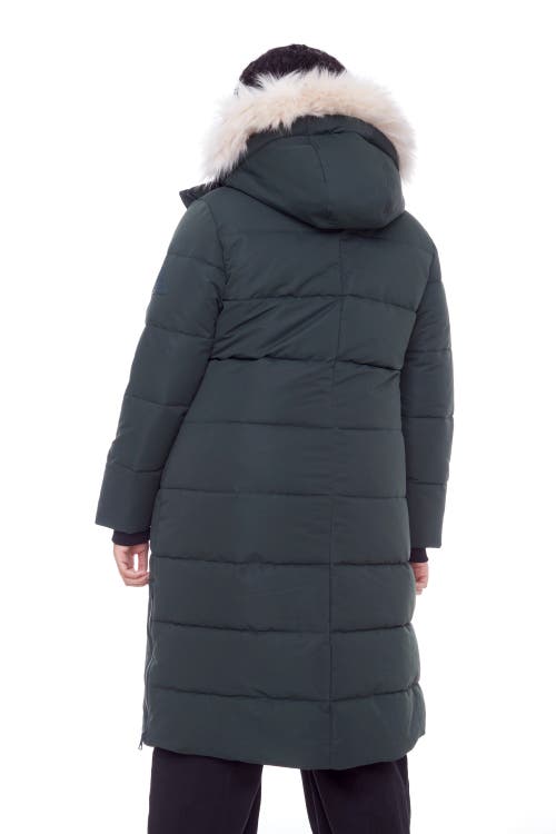 Alpine North Kluane Plus Size In Green