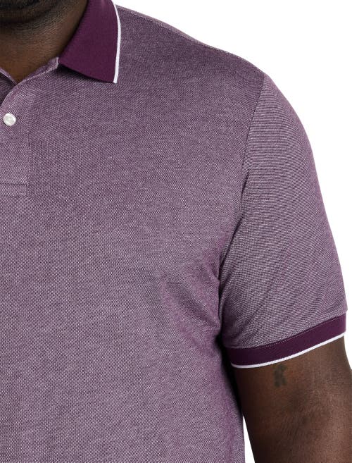 Shop Harbor Bay By Dxl Oxford Tipped Polo Shirt In Potent Purple