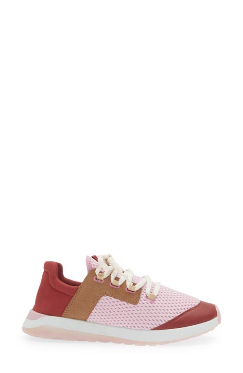Olukai Women's Wailuku Sneaker In Paradise Pink/ Loganberry In Paradise Pink/loganberry
