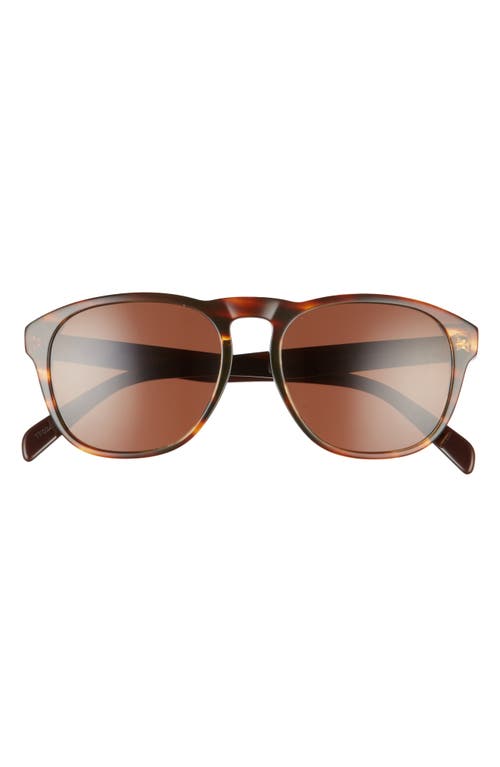 CELINE 57mm Pantos Sunglasses in Brown