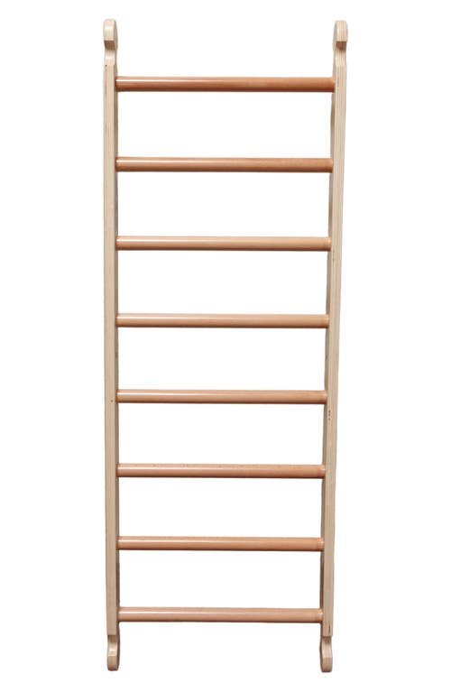 Little Partners Climbing Ladder in Natural at Nordstrom