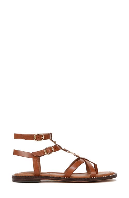Sam Edelman Teeni Gladiator Sandal Cognac Brown Leather In Rich Cognac
