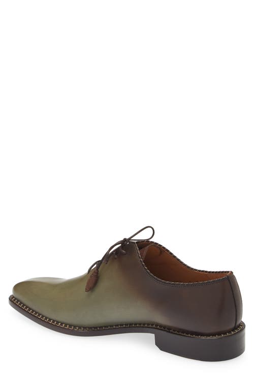 Shop Mezlan Barbaro Oxford In Olive/mocha