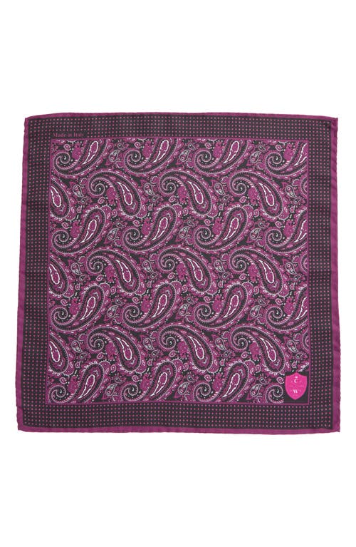 Clifton Wilson Fuschia Paisley Silk Pocket Square In Fuschia